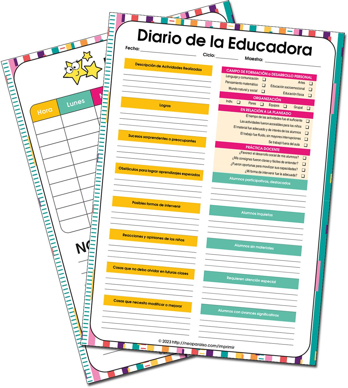 Diario de la Educadora PDF