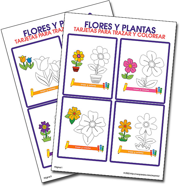 Tarjetas de Flores y Plantas para Trazar y Colorear PDF