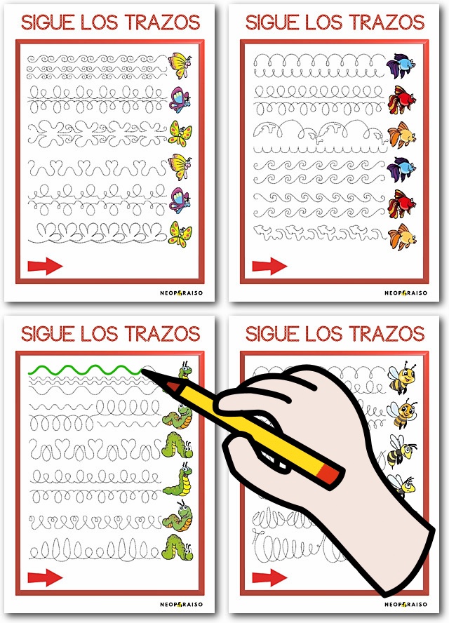 Sigue Trazos de Bichos PDF gratis