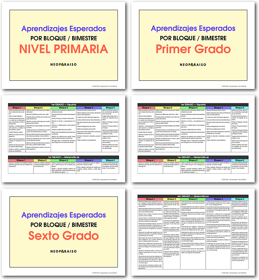 Aprendizajes Esperados Resumen PDF