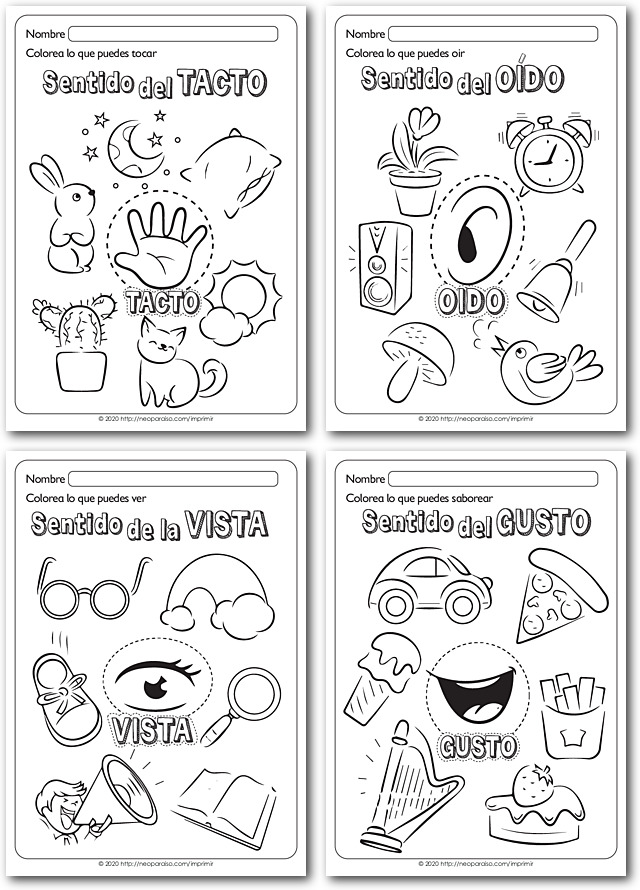 Hojas para Identificar los Cinco Sentidos