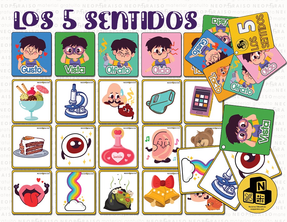 Tarjetas de los 5 Sentidos para Asociar